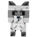 Raccoon
