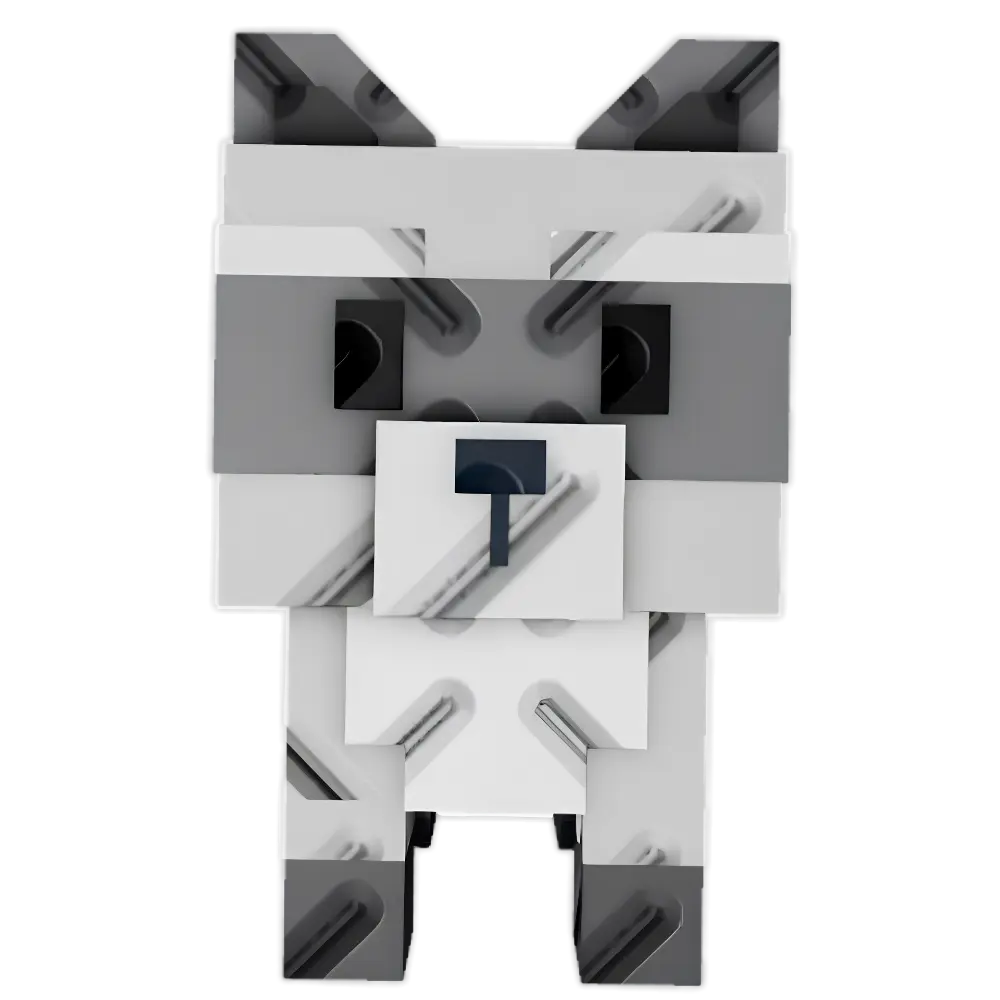 Raccoon